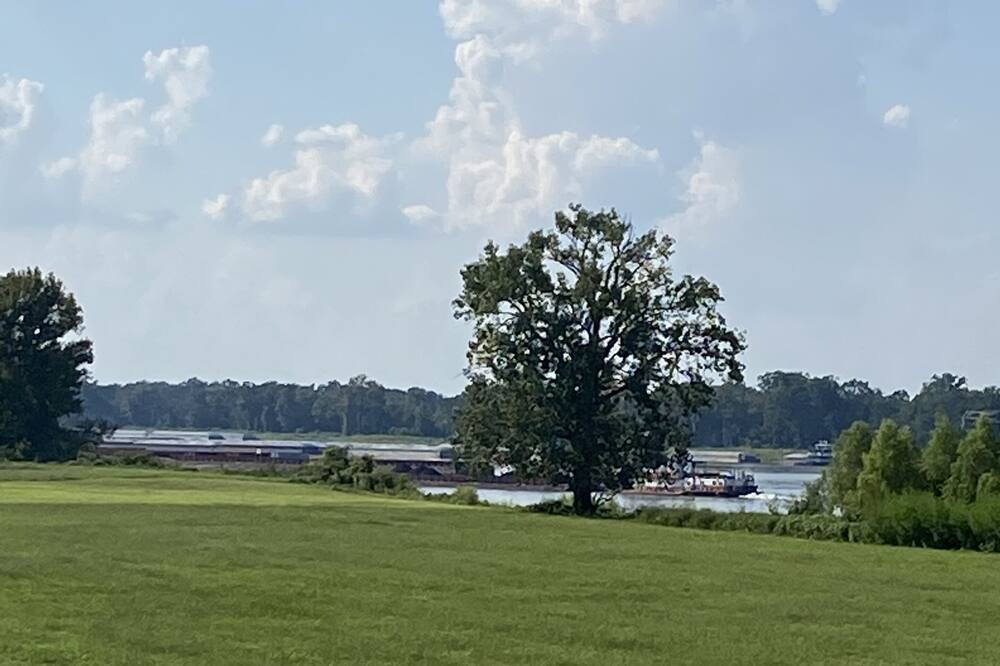 Photo of Others in Donaldsonville