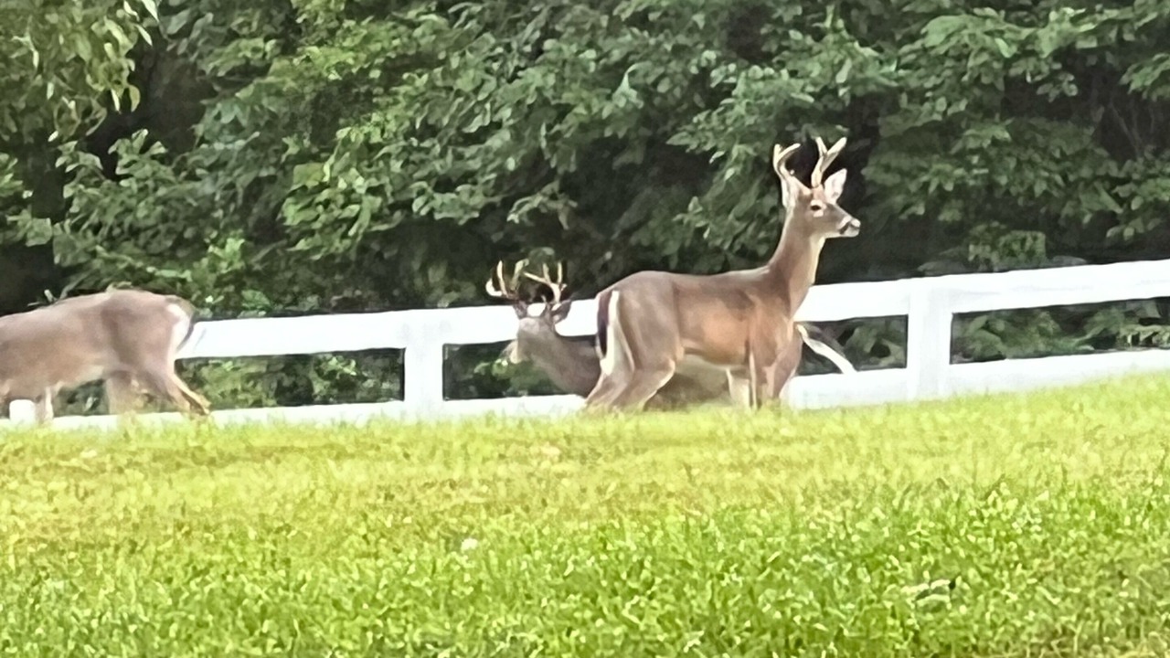 Photo of Outdoor in Purcellville
