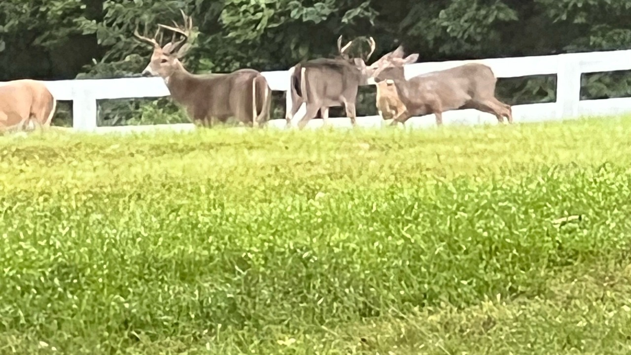 Photo of Outdoor in Purcellville