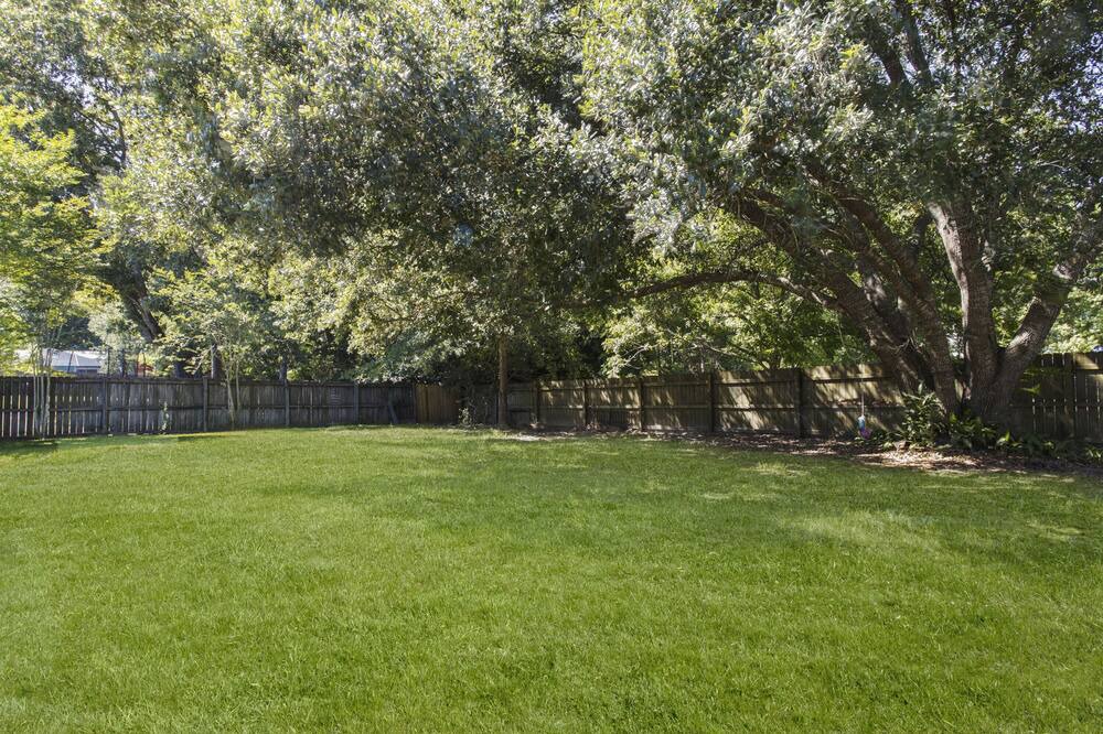 Photo of Outdoor in Ocean Springs