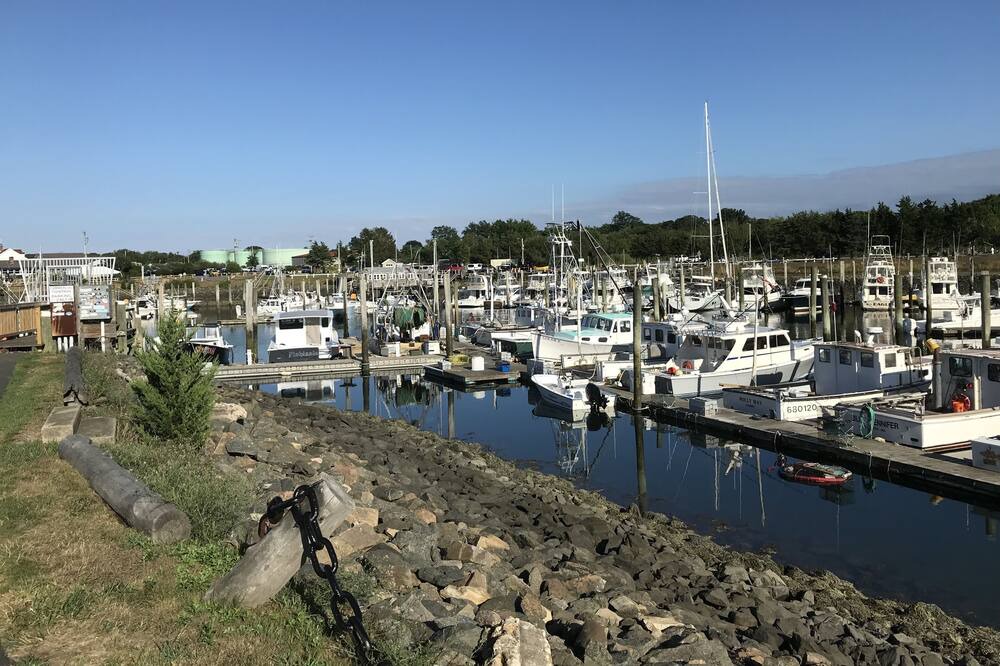 Photo of Outdoor in Sandwich
