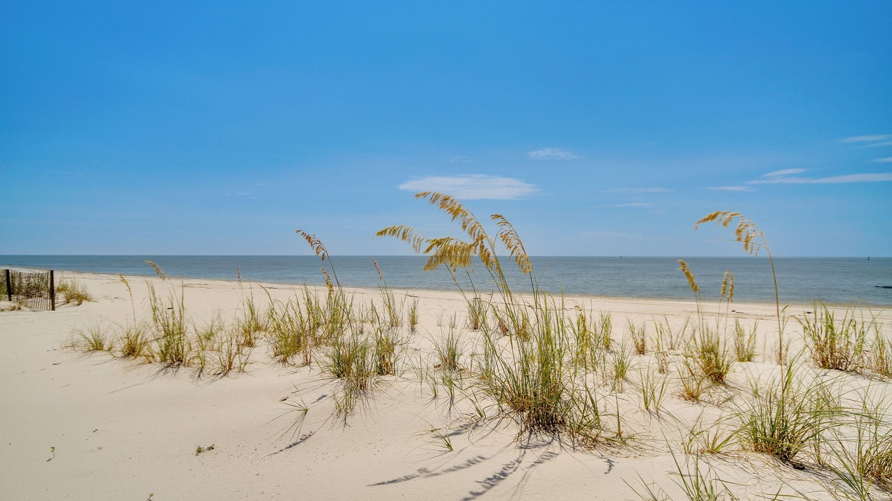 Photo of Others in Gulfport