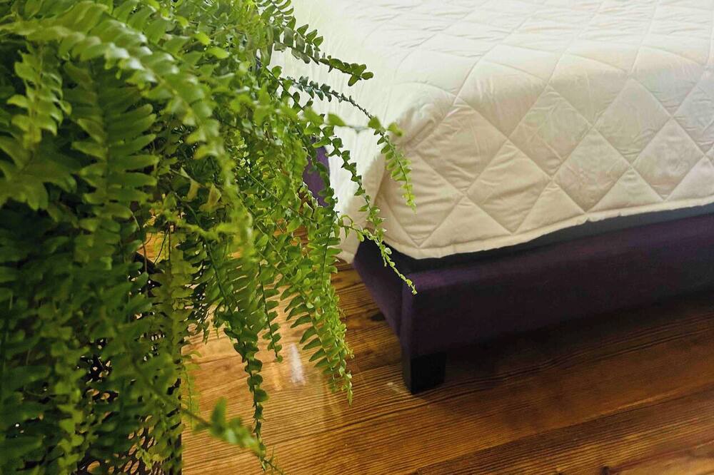 Photo of Bedroom in Saint Roch