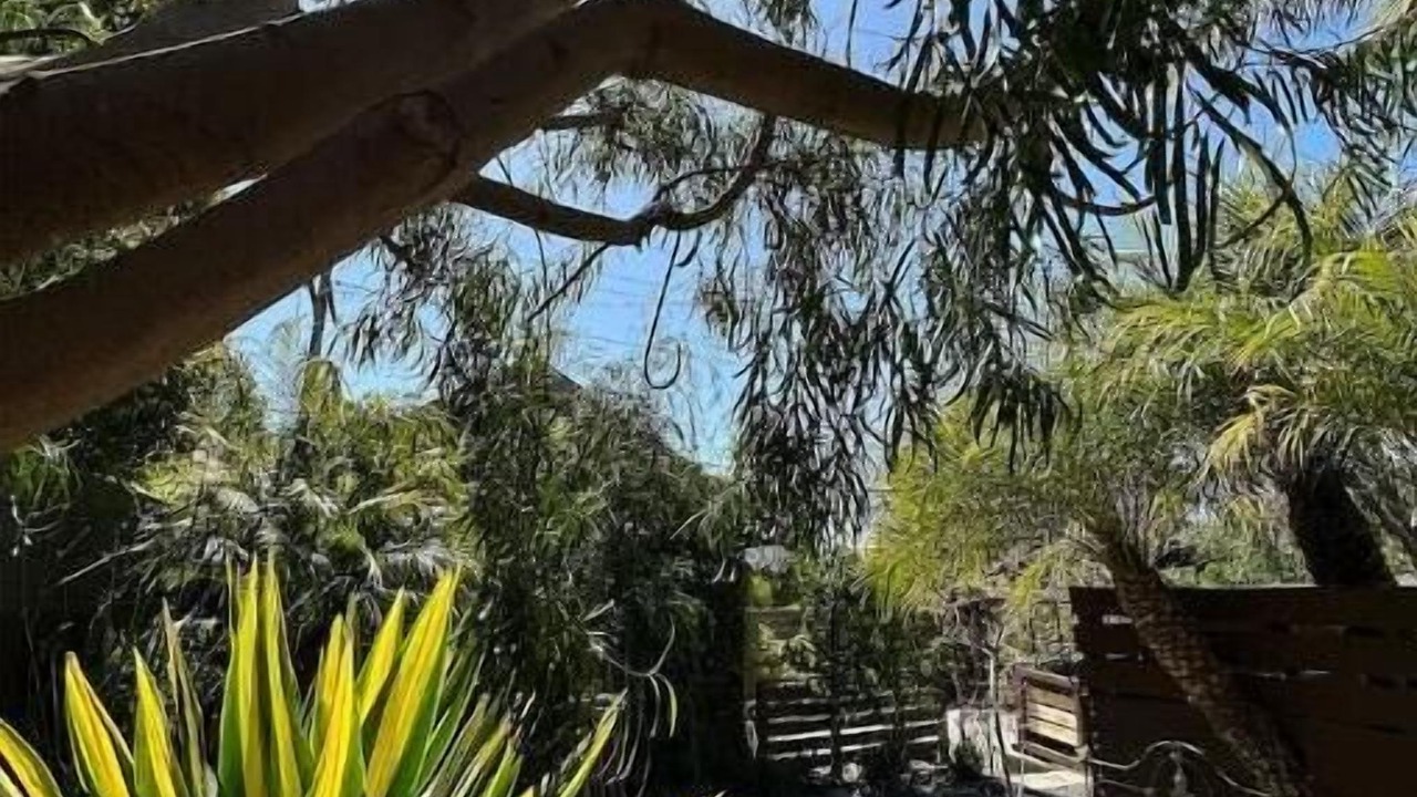 Photo of Outdoor in Sunset Park