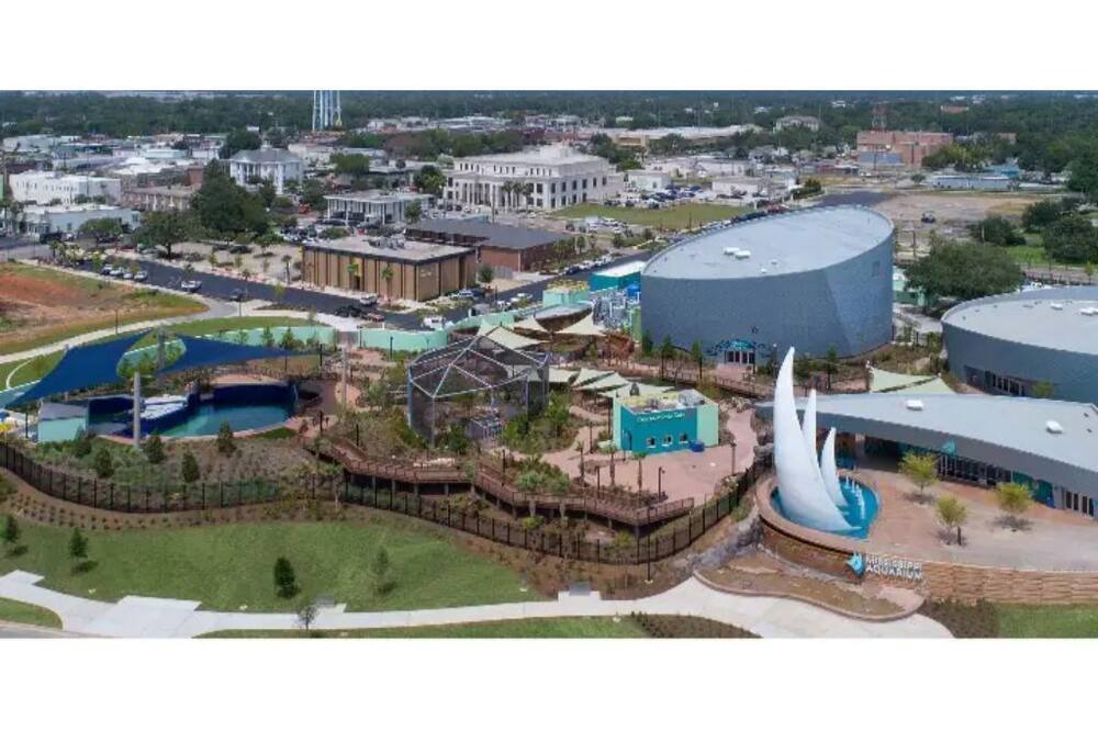 Photo of Outdoor in Gulfport