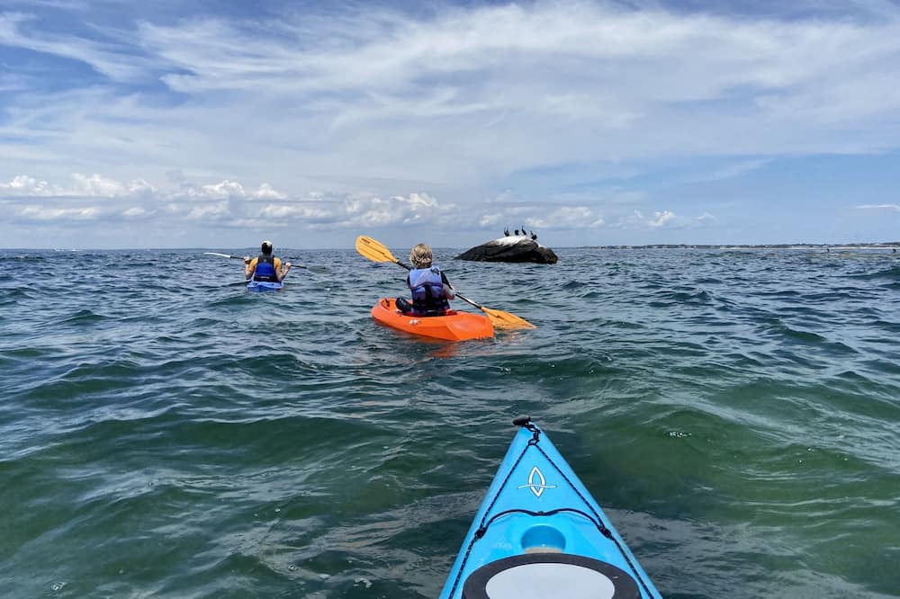 Photo of Others in West Falmouth