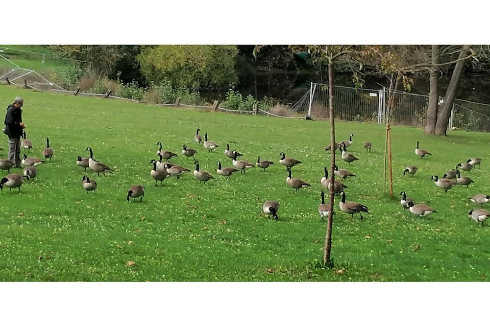 Photo of Outdoor in Vigneux-sur-Seine