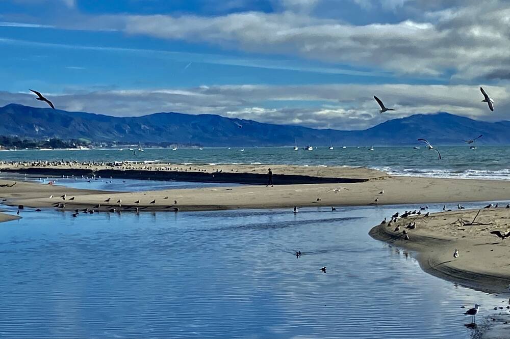 Photo of Others in East Beach