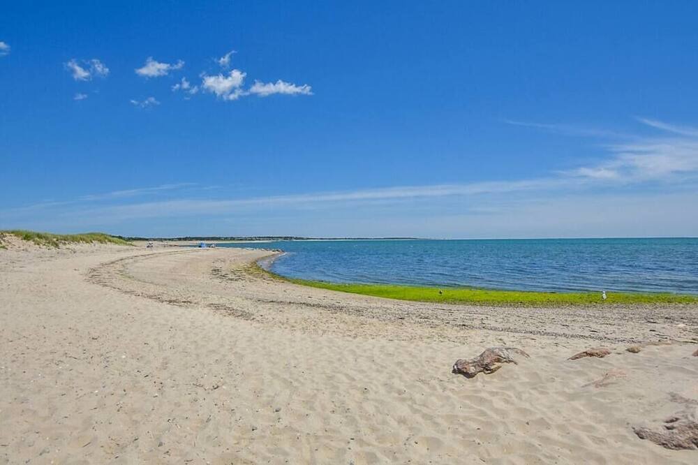 Photo of Others in South Chatham