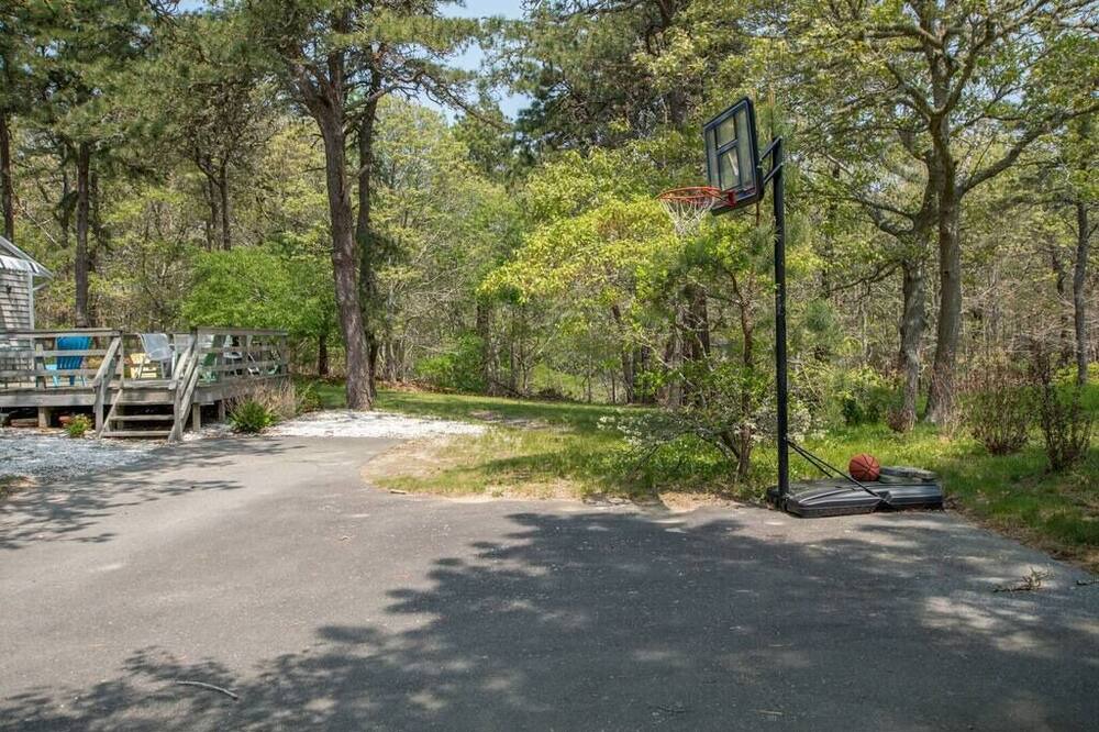 Photo of Others in South Chatham