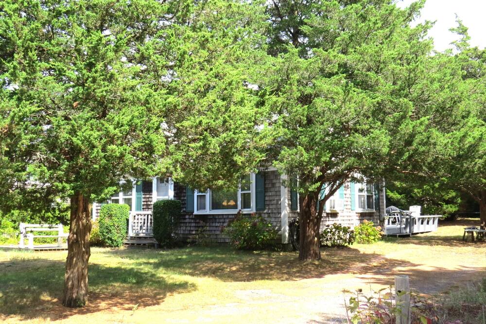 Photo of Outdoor in East Orleans