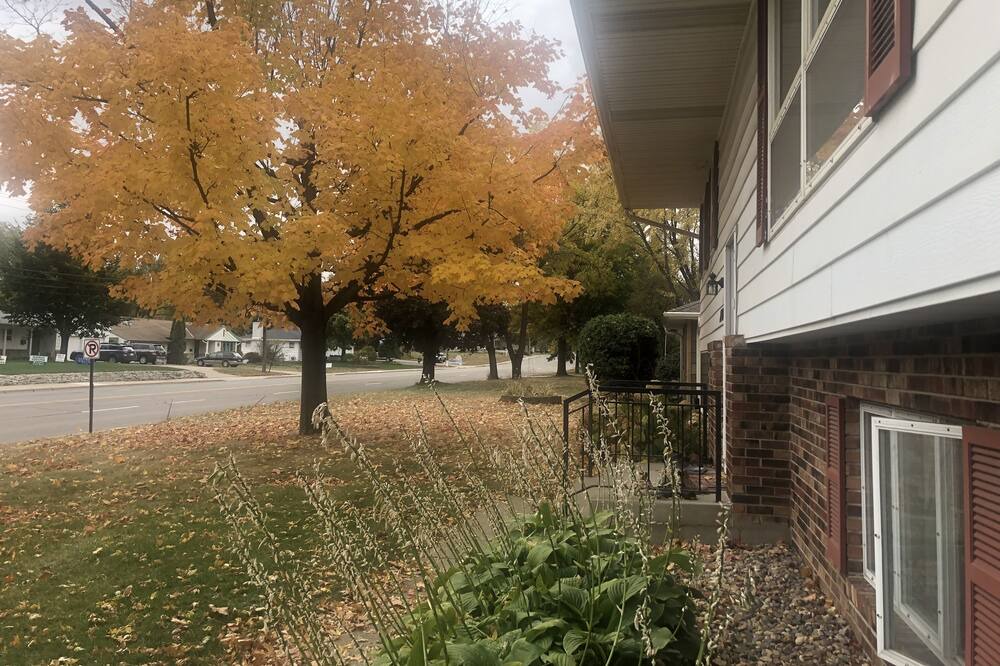 Photo of Outdoor in West Bloomington