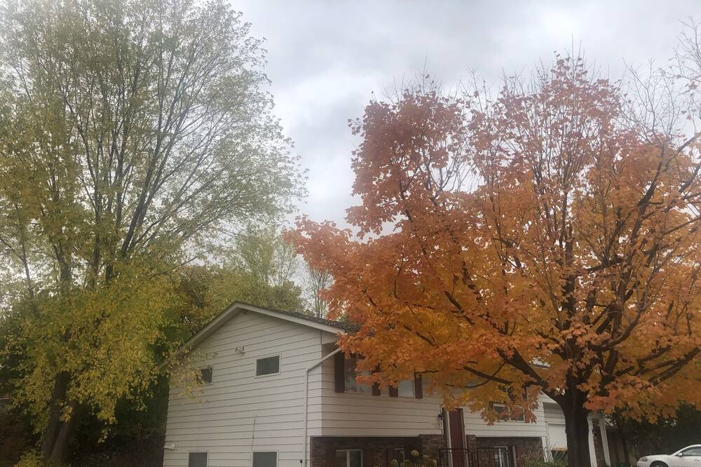 Photo of Outdoor in West Bloomington