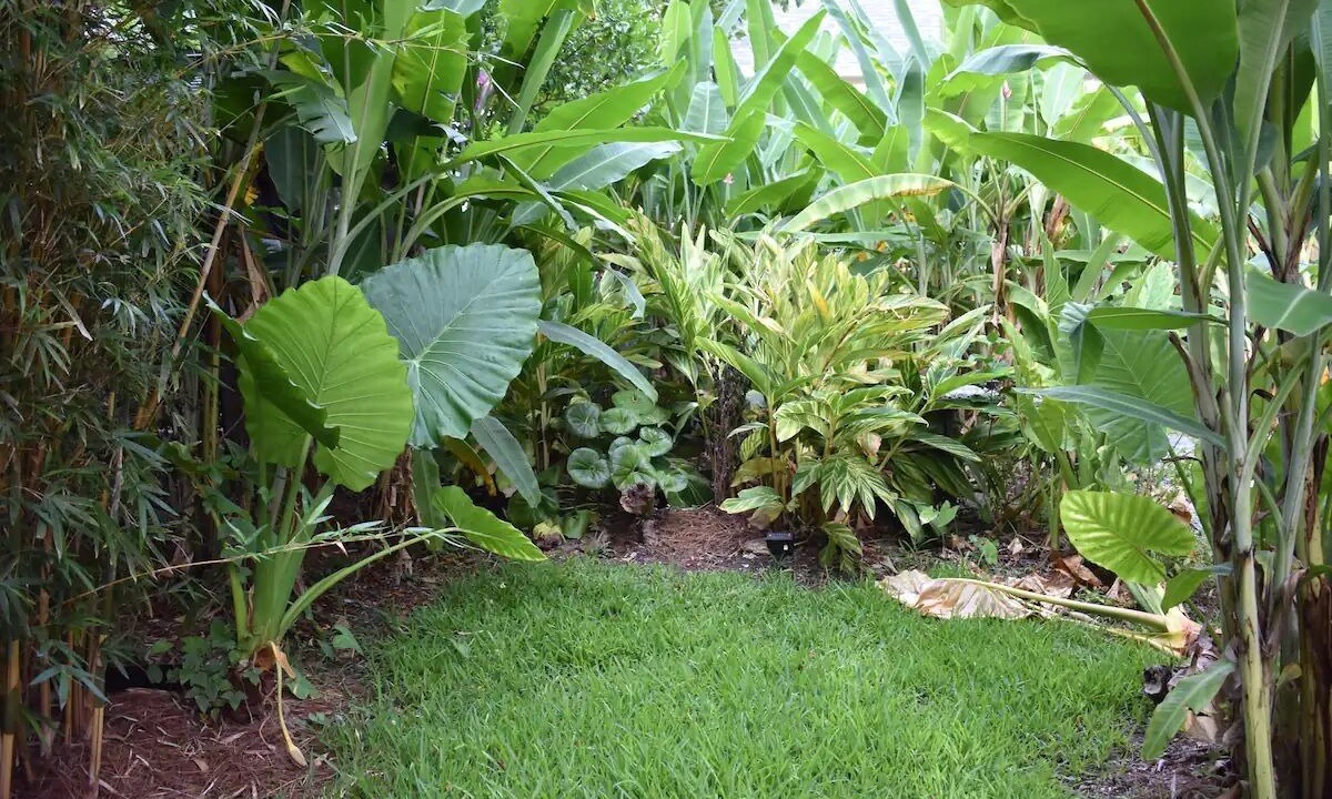 Photo of Outdoor in Bywater