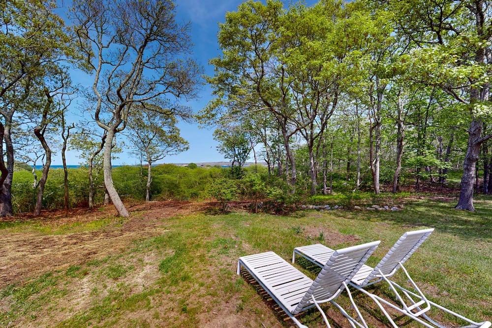 Photo of Others in Aquinnah