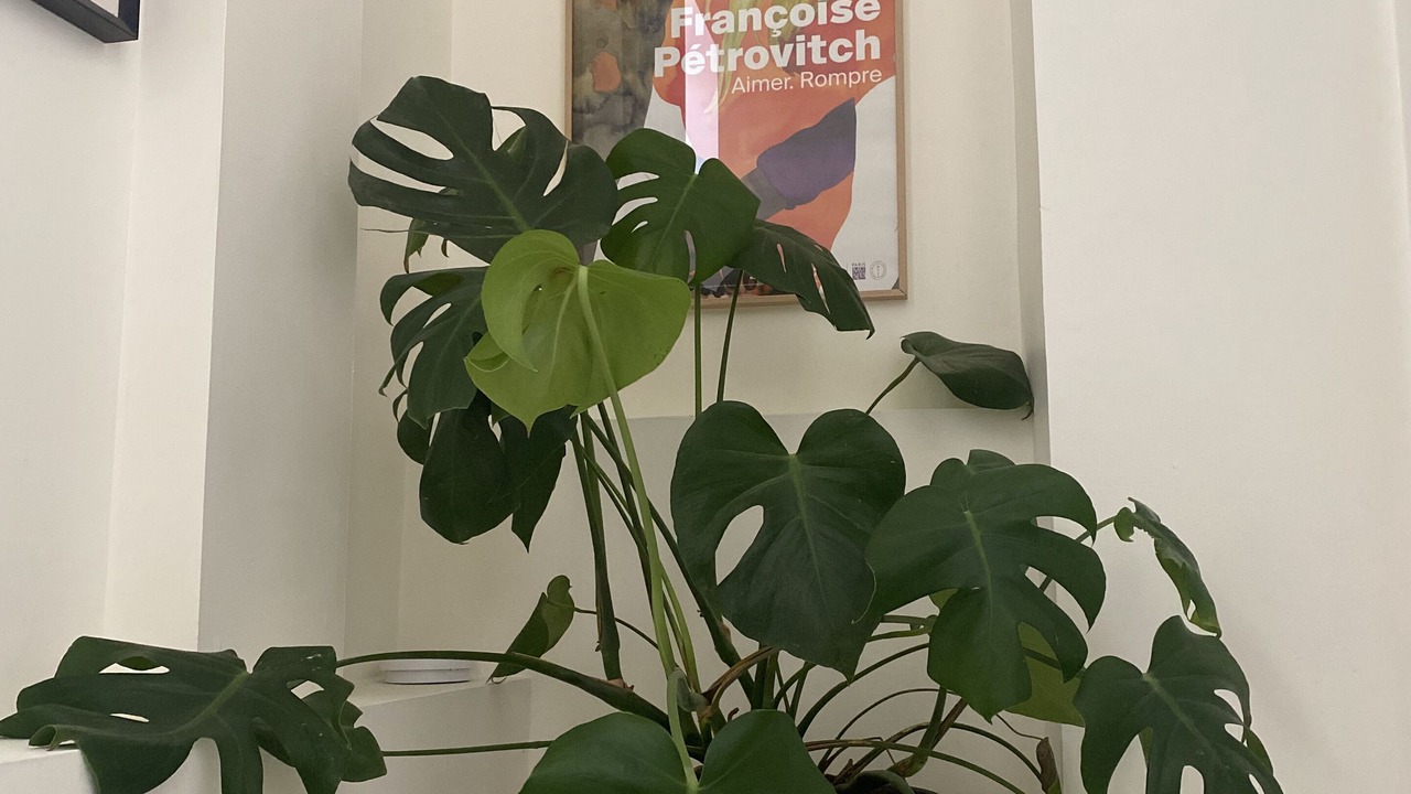 Photo of Others in Quartier de Rochechouart