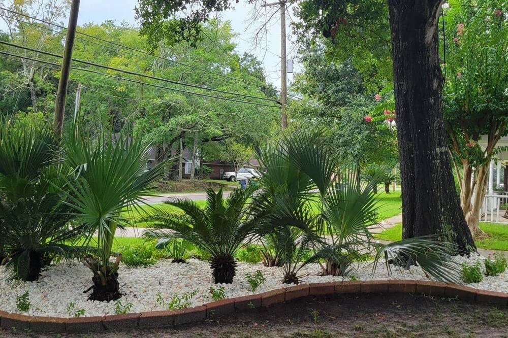 Photo of Outdoor in Gulf Park Estates