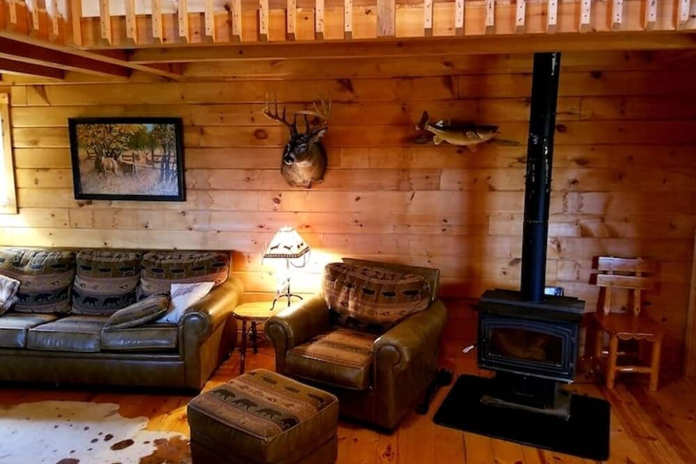 Photo of Livingroom in Waterville