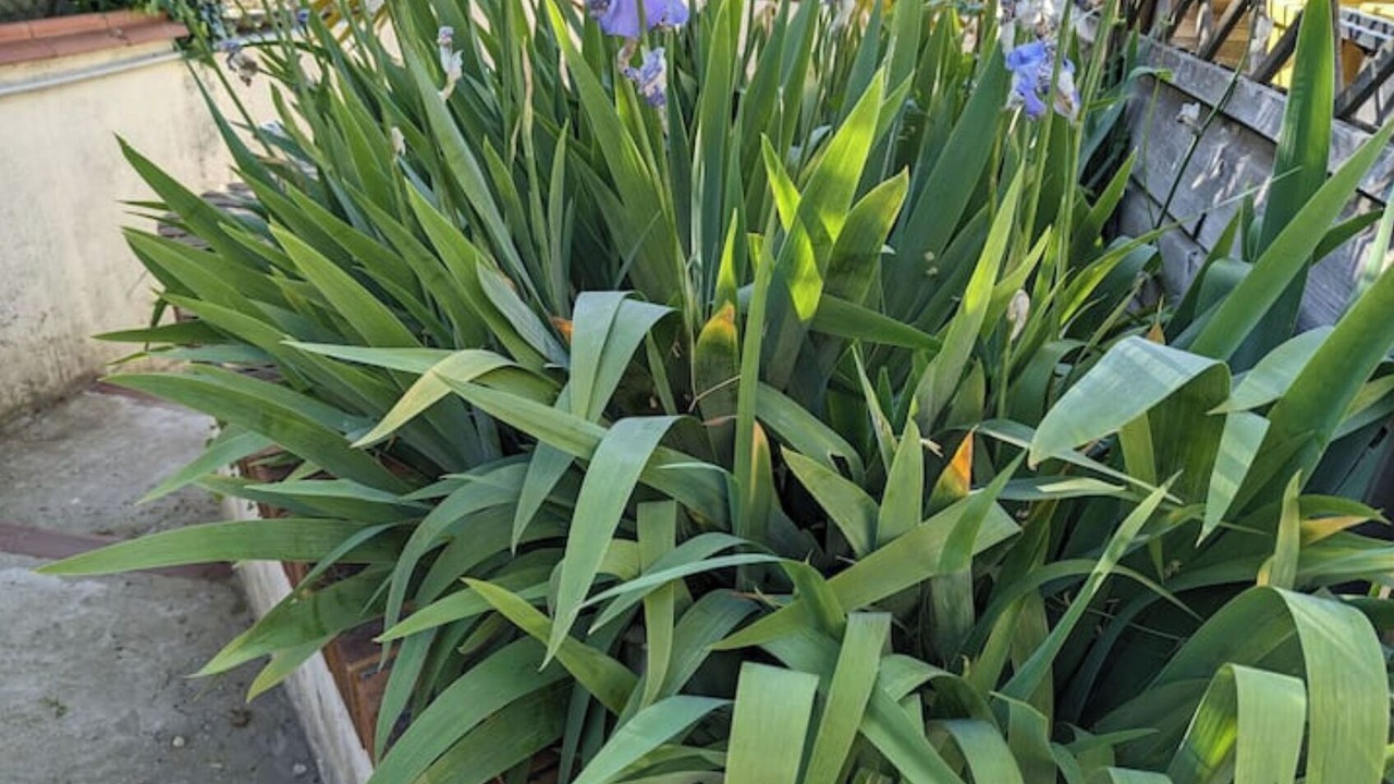 Photo of Outdoor in Maisons-Alfort