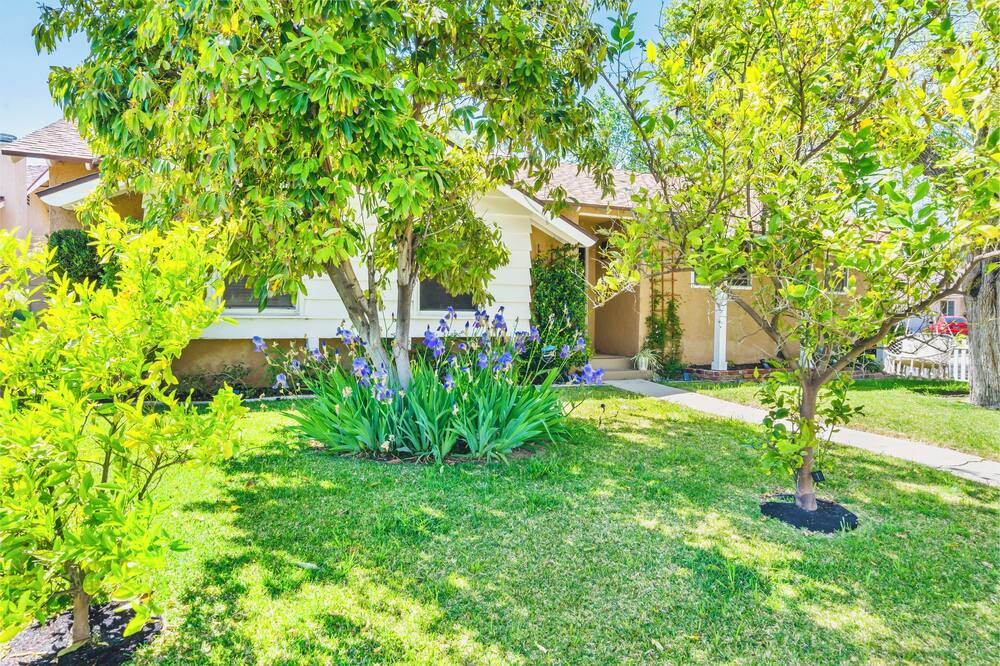 Photo of Outdoor in Northridge