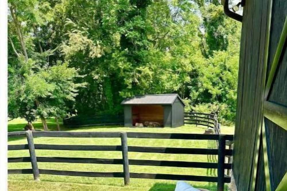 Photo of Outdoor in The Plains