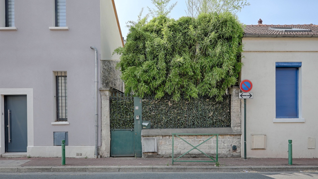 Photo of Outdoor in Malakoff