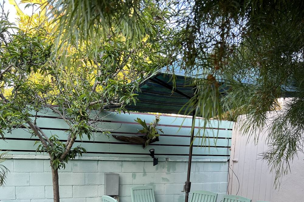 Photo of Outdoor in Sunset Park