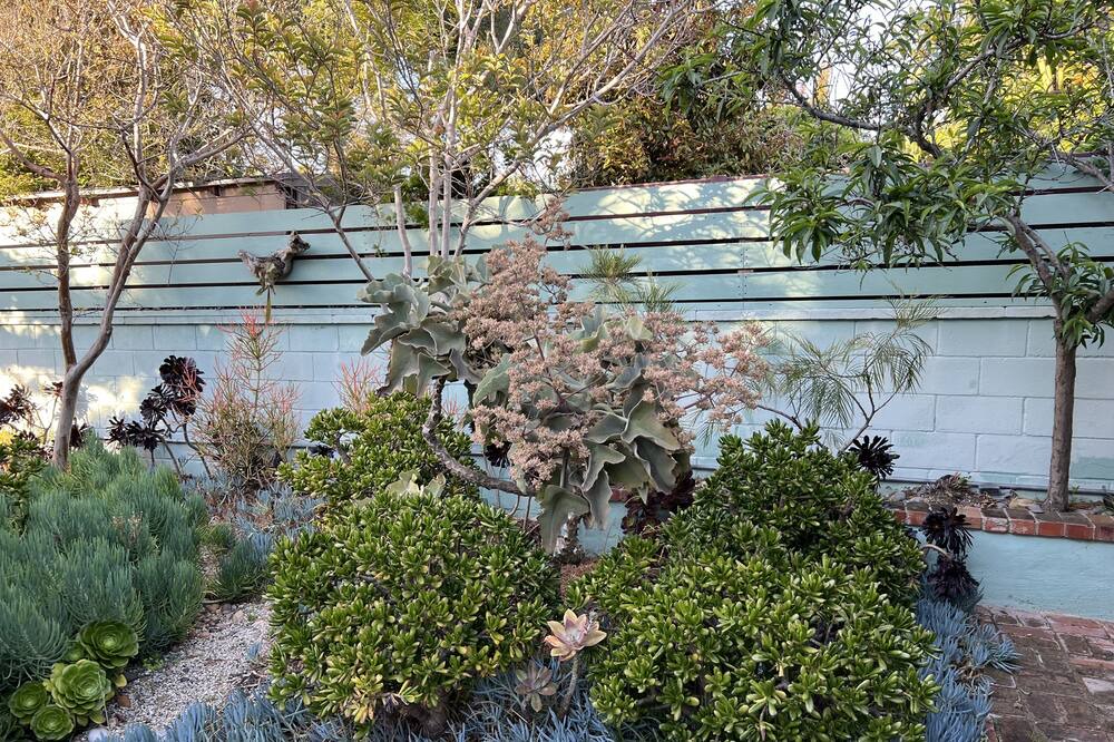 Photo of Outdoor in Sunset Park