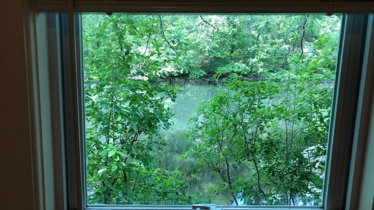 Photo of Others in Sagamore