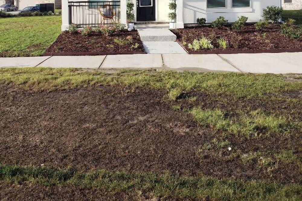 Photo of Outdoor in Slidell