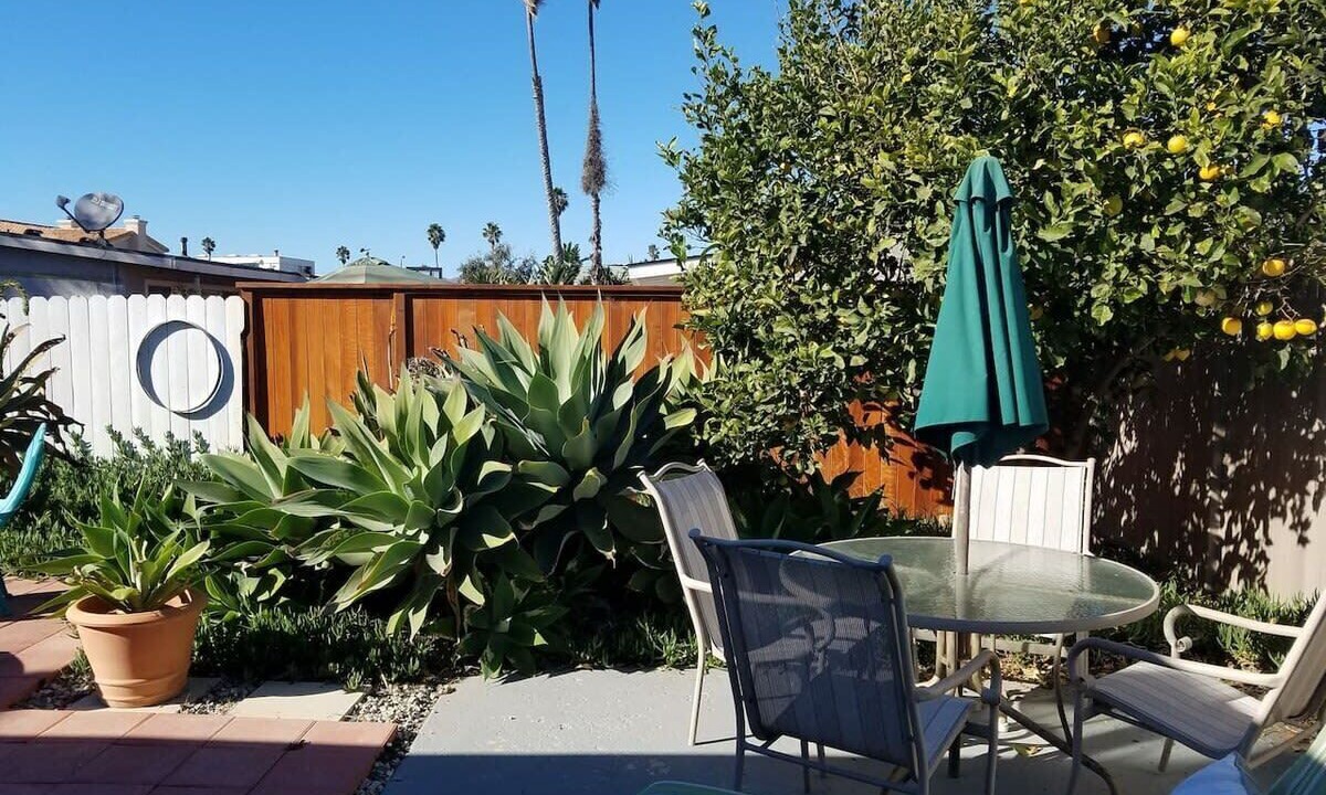 Photo of Outdoor in Pierpont Bay