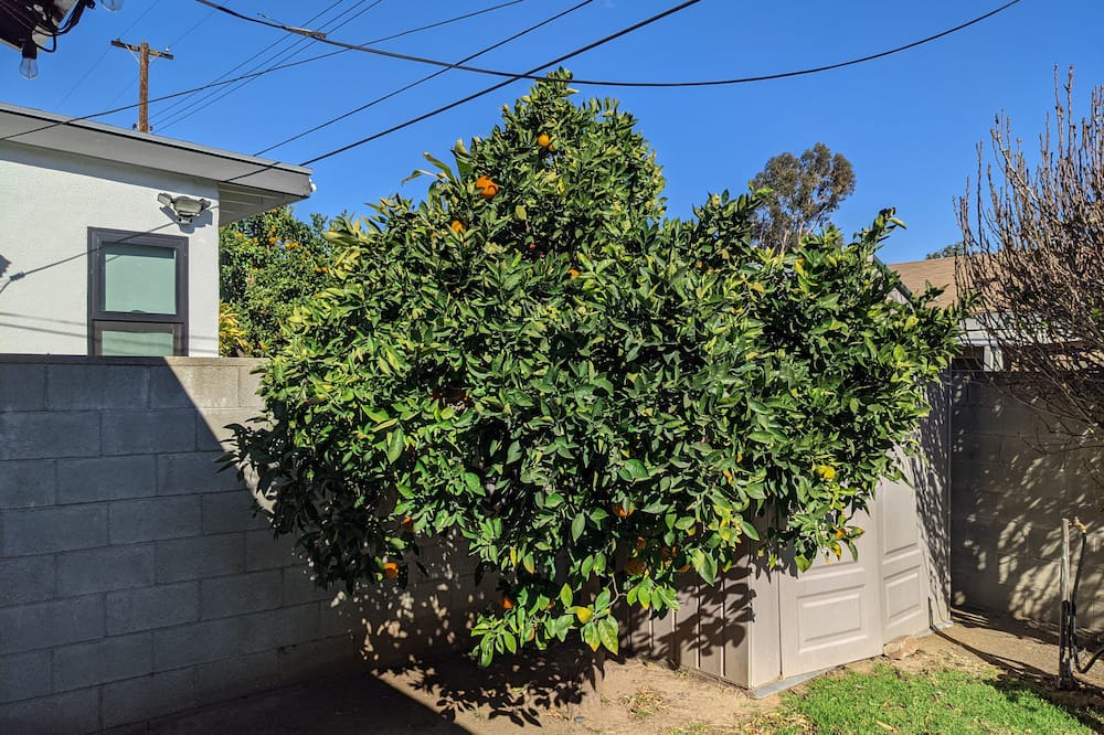 Photo of Outdoor in Torrance