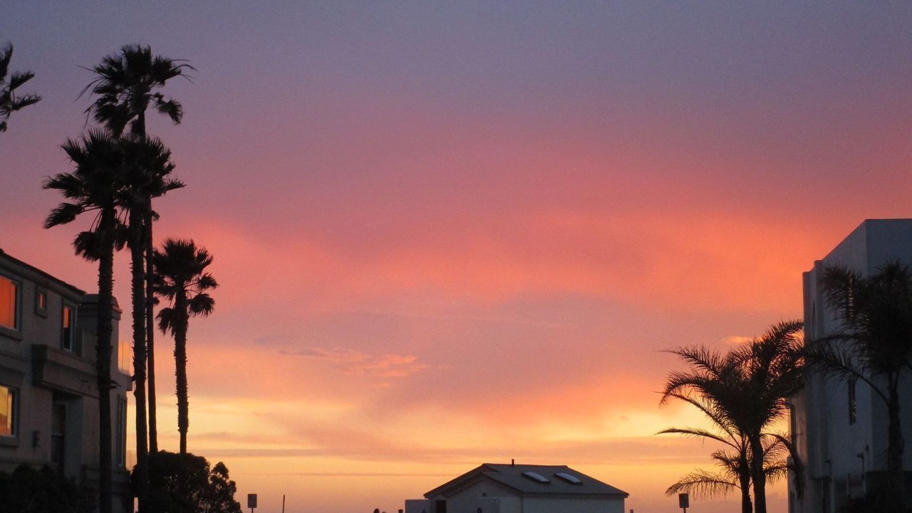 Photo of Outdoor in Hollywood Beach
