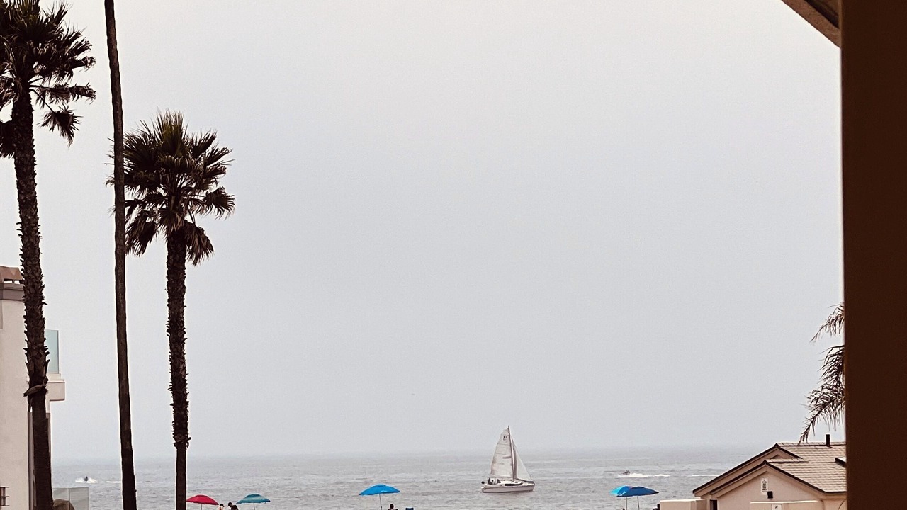 Photo of Others in Hollywood Beach