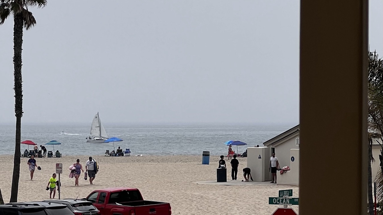 Photo of Others in Hollywood Beach
