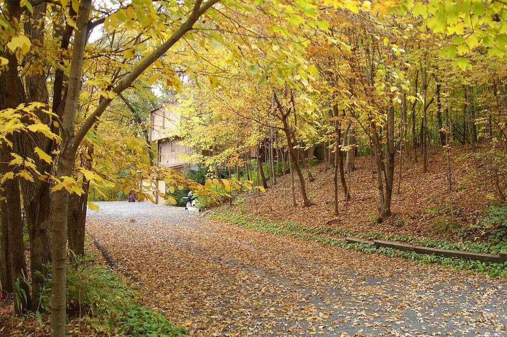 Photo of Outdoor in Minnetonka