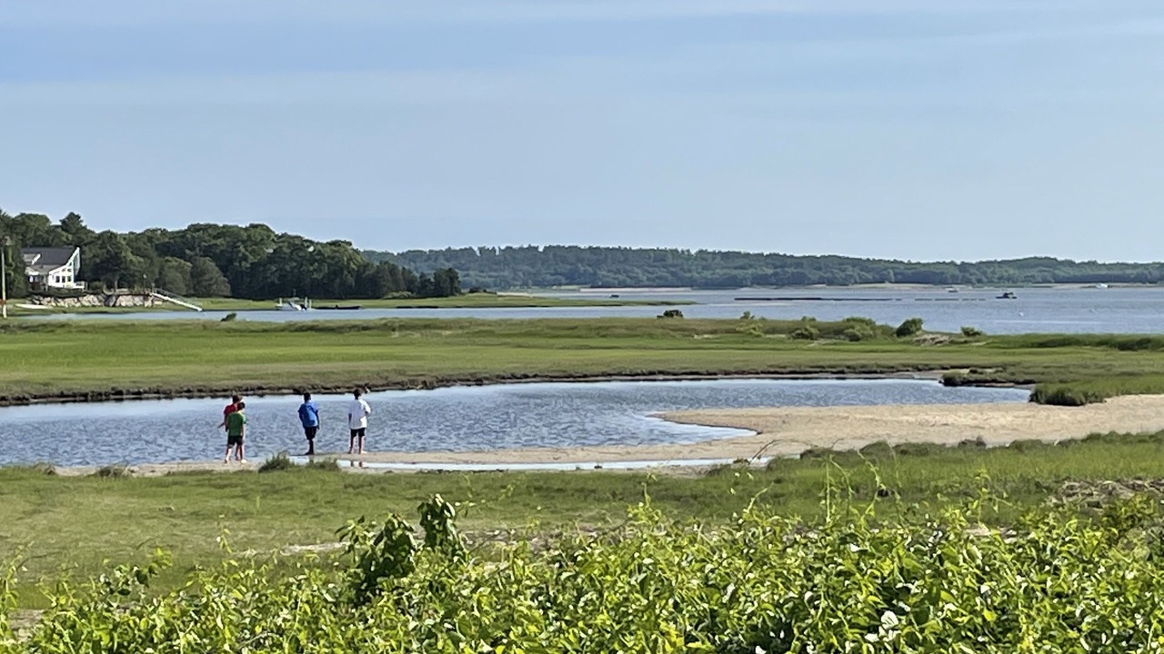 Photo of Others in Wareham
