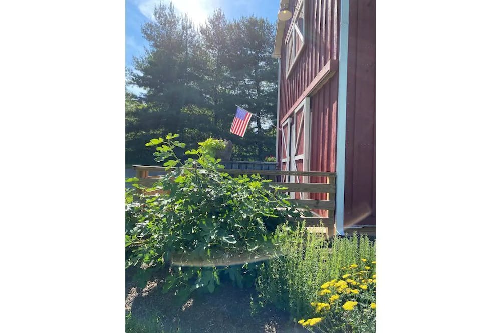 Photo of Others in Purcellville