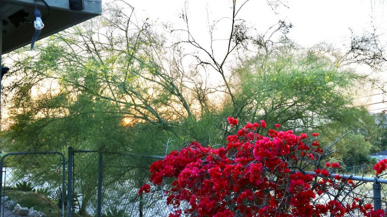 Photo of Outdoor in Riverside