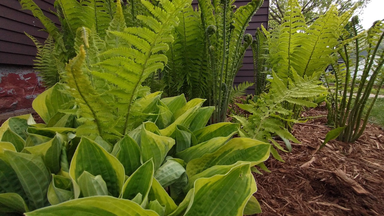 Photo of Outdoor in Baraboo