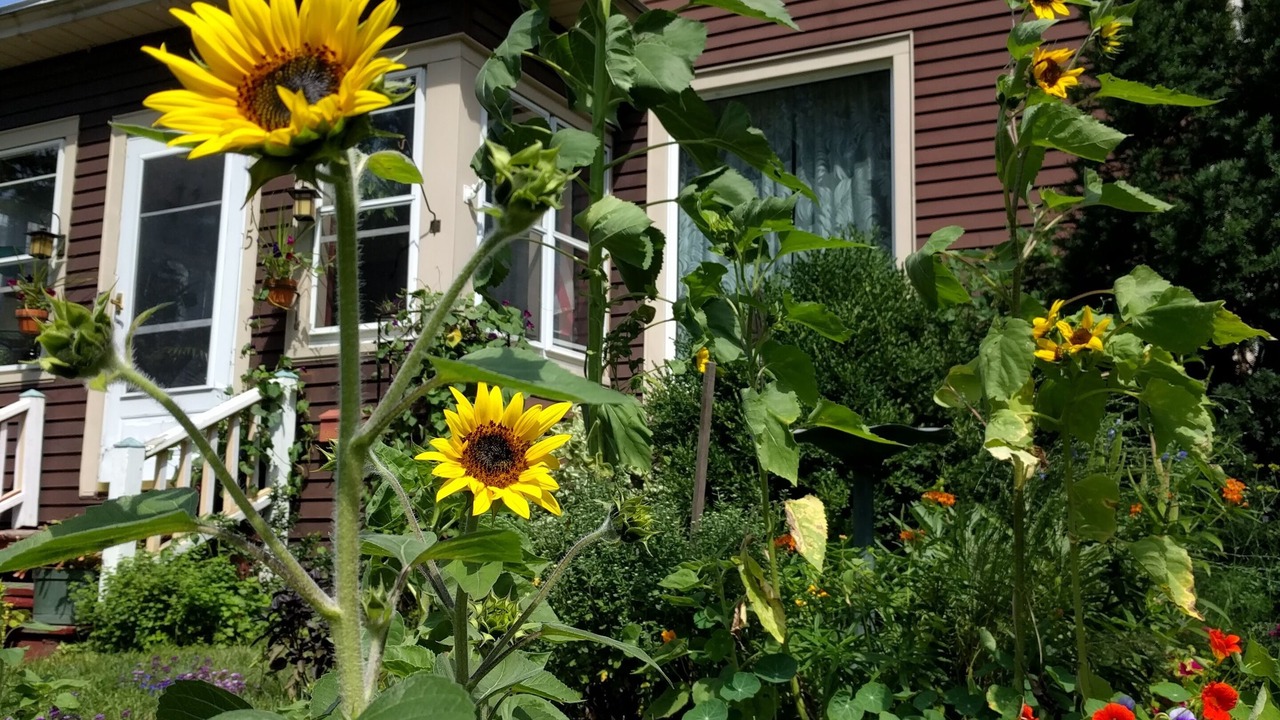 Photo of Outdoor in Baraboo