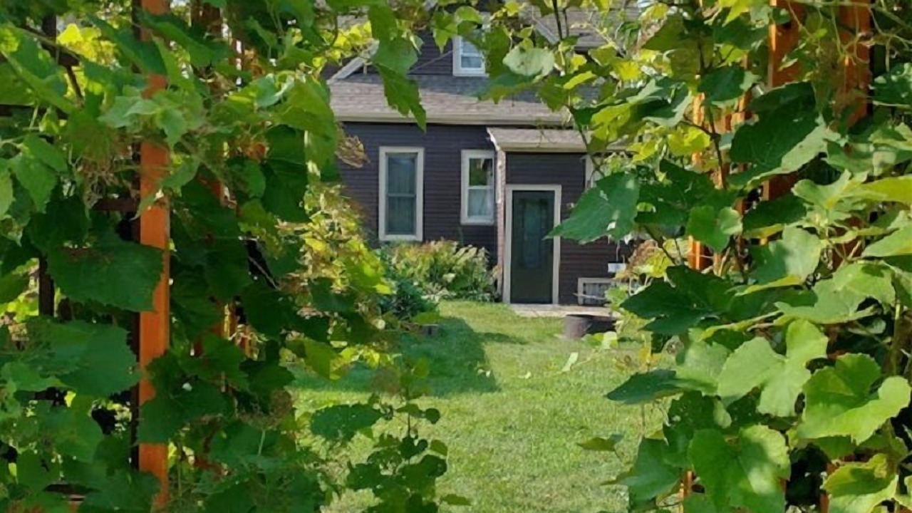 Photo of Outdoor in Baraboo