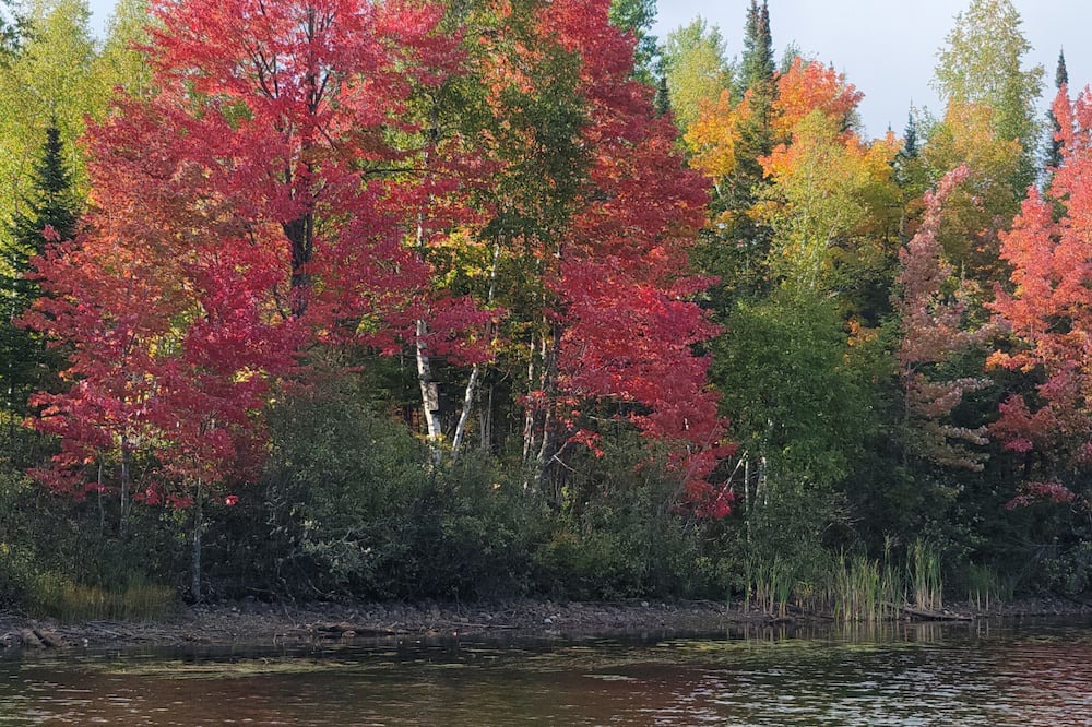 Photo of Outdoor in Melrude