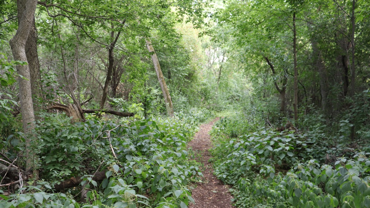 Photo of Outdoor in Plymouth