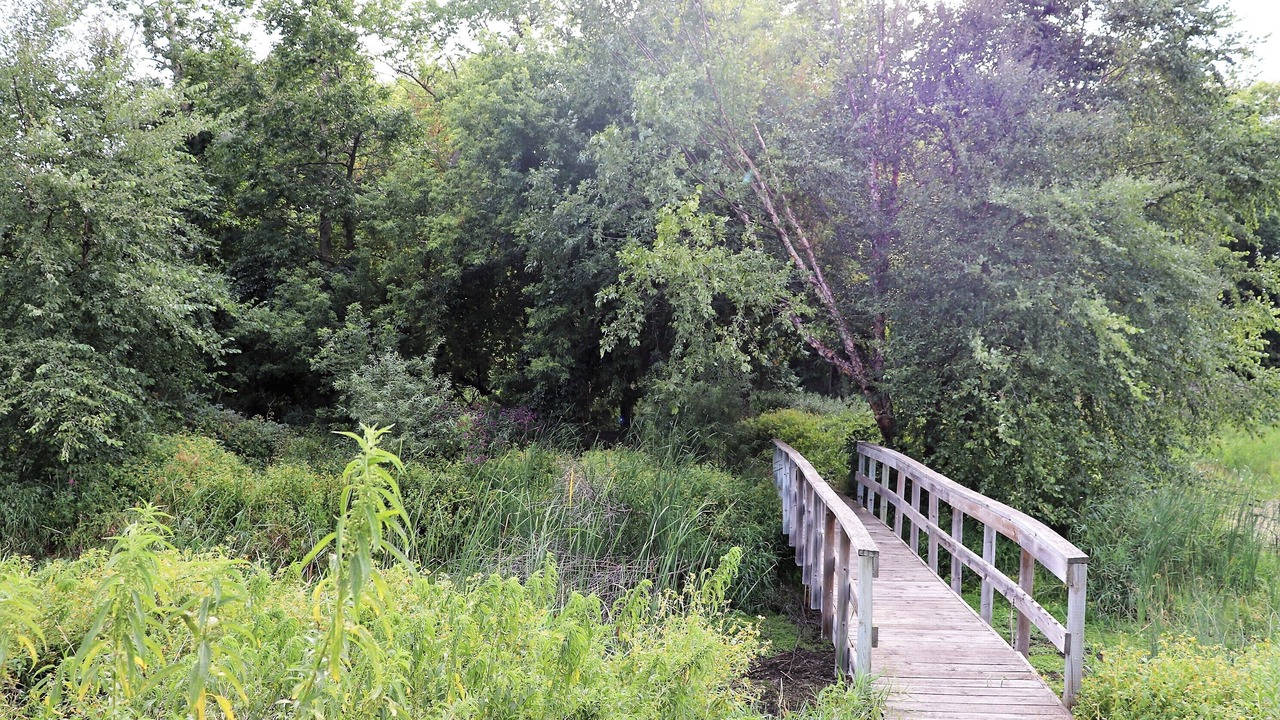 Photo of Outdoor in Plymouth