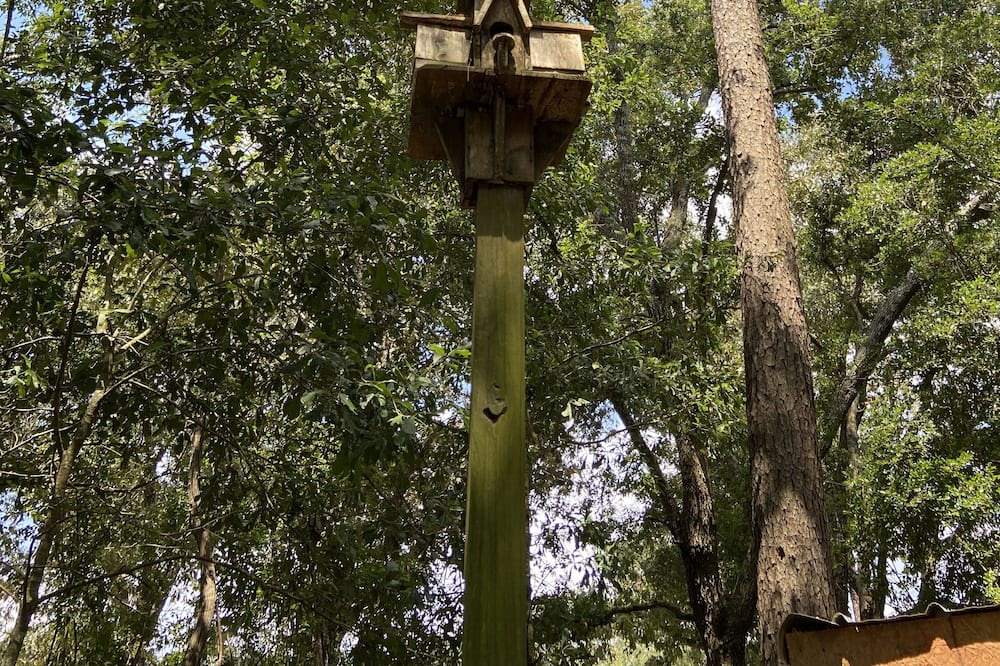 Photo of Outdoor in Pass Christian