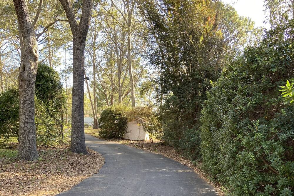 Photo of Outdoor in Pass Christian