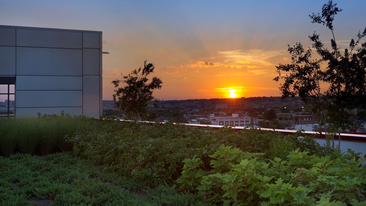 Photo of Outdoor in Gallaudet