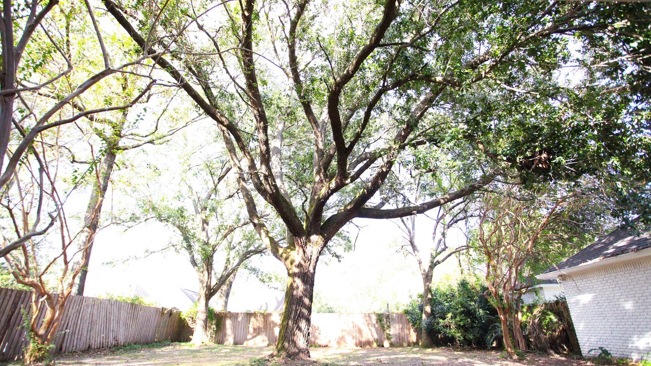 Photo of Outdoor in South Baton Rouge