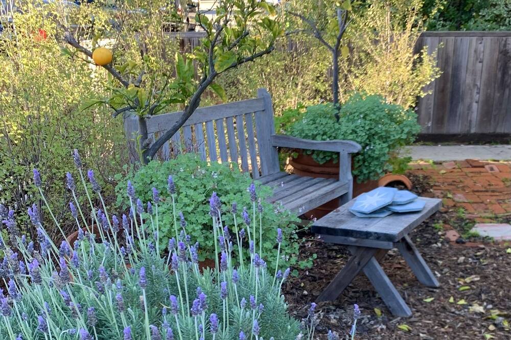 Photo of Outdoor in Sunset Park